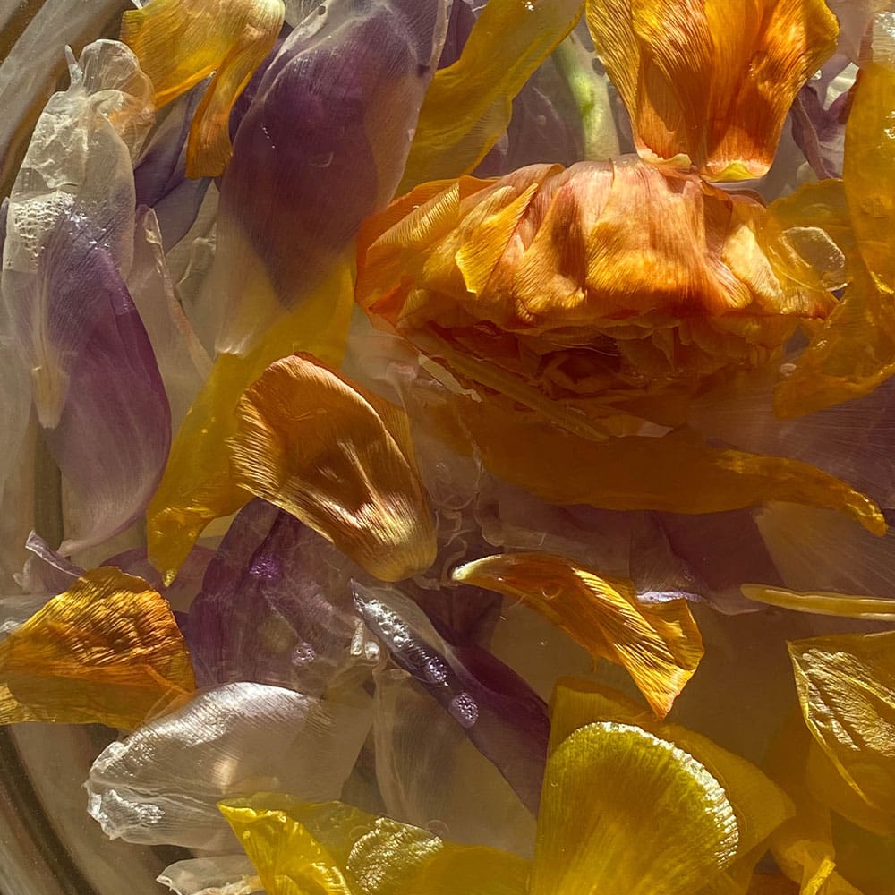 demens i parforhold og sexlyst