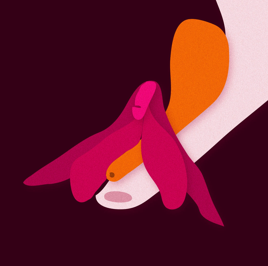 illustration af klitoris