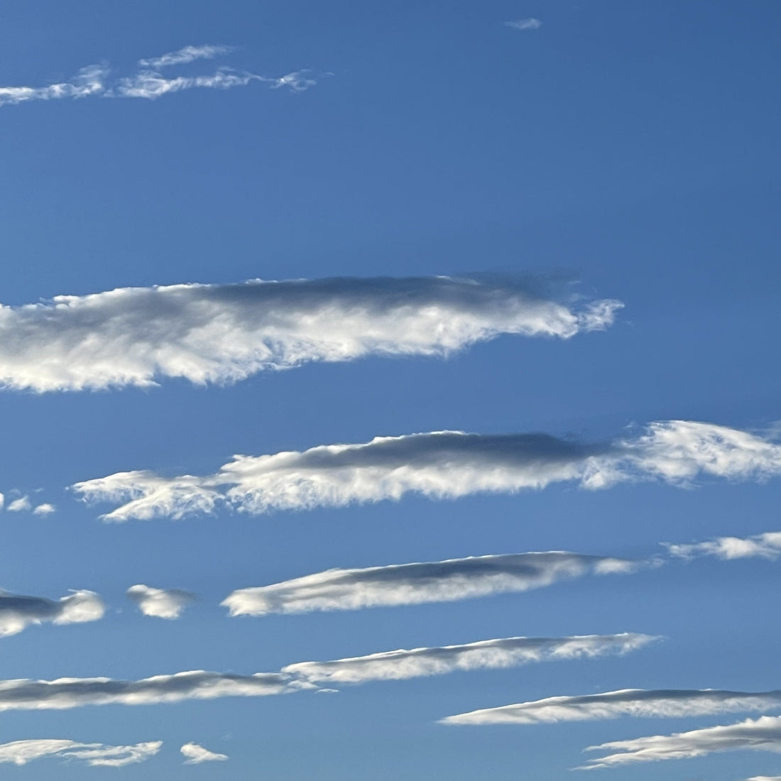 Myten om mødommen - fra et queer pespektiv