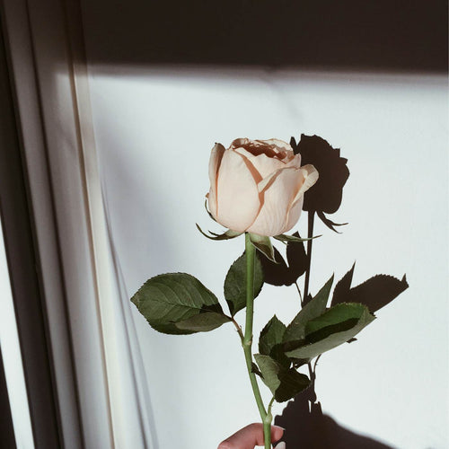 The Price of Vulnerability 3/7