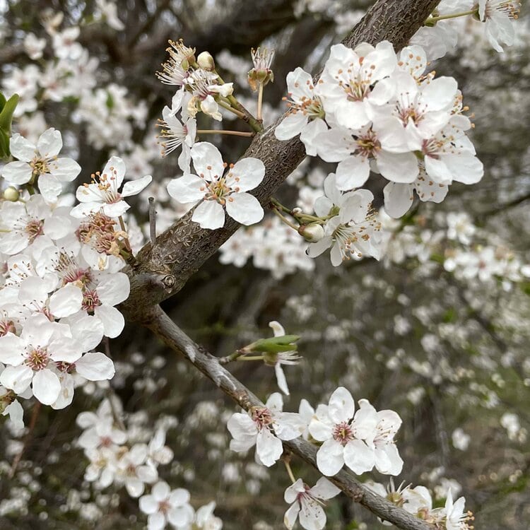 Sådan bliver du bedre til at sige, hvad du gerne vil have under sex