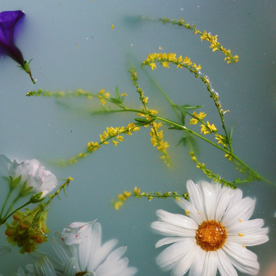 Udflåd – underlivets superkraft