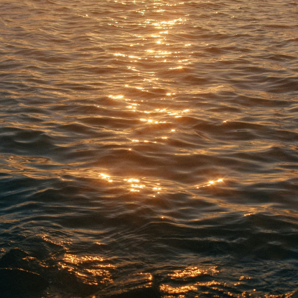 solnedgang over vand