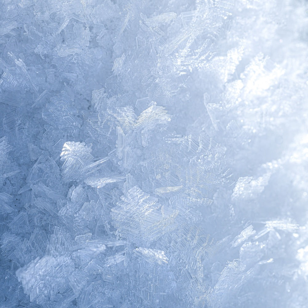 nærbillede af snefnug