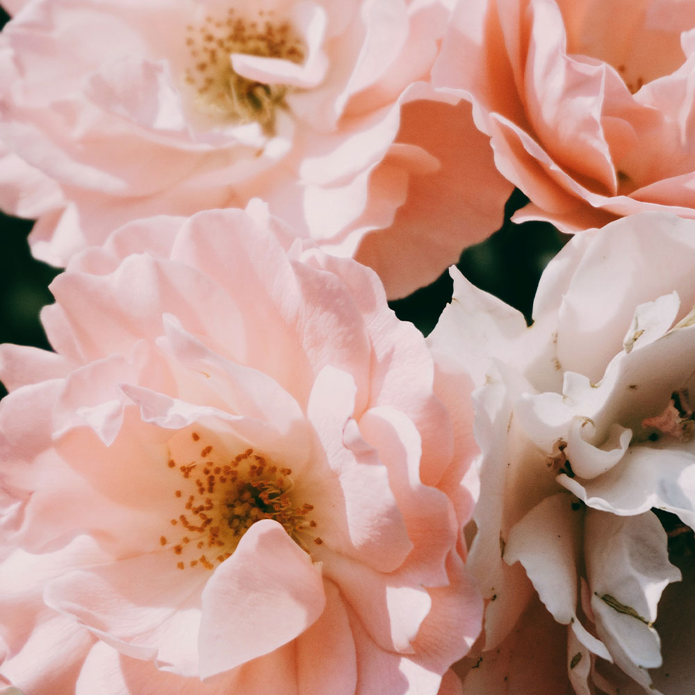 En aften i swingerklub