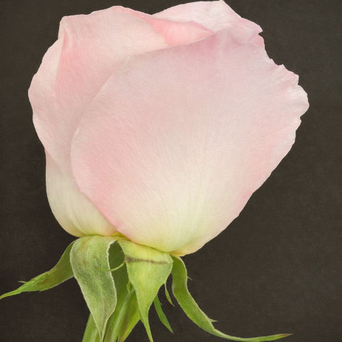 5 date ideer til Valentinsdag